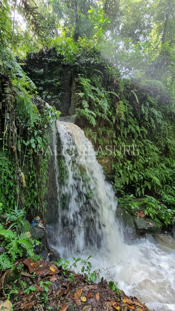 Some image