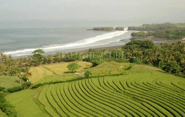 Some image