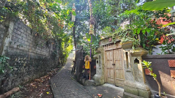Some image