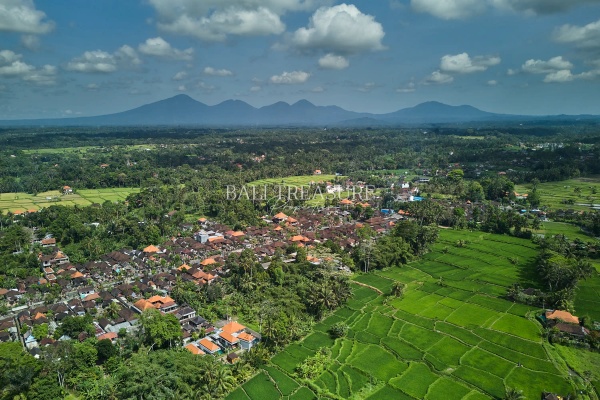 Some image