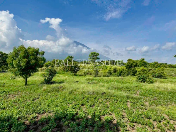 Some image