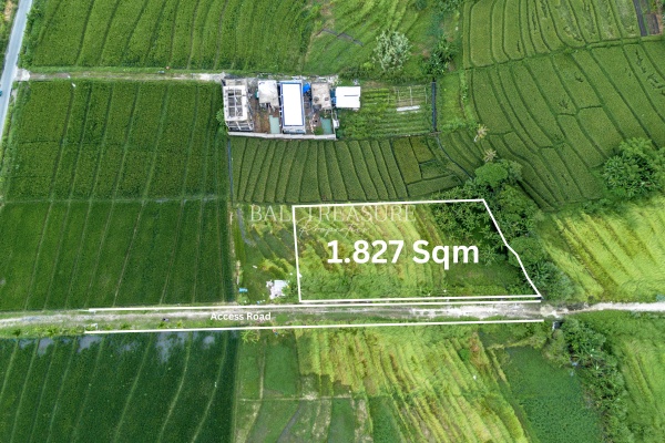 Some image
