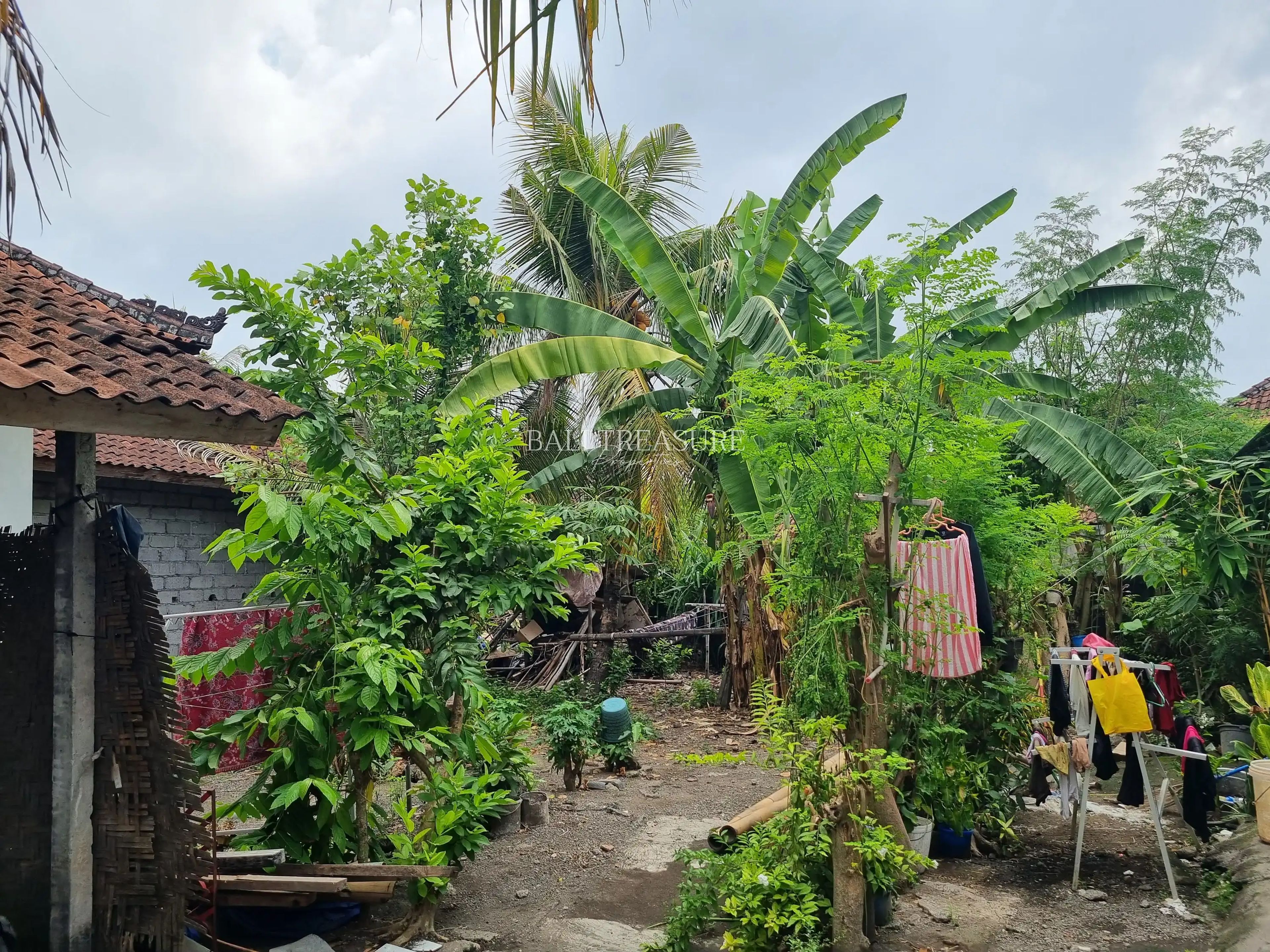 Some image