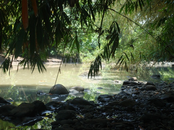 Some image