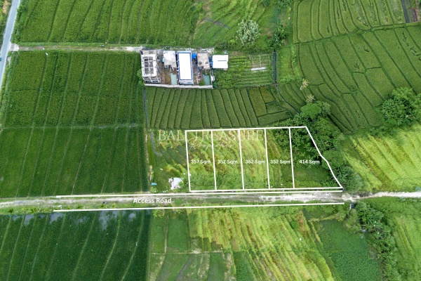 Some image