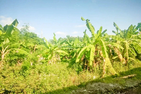 Some image