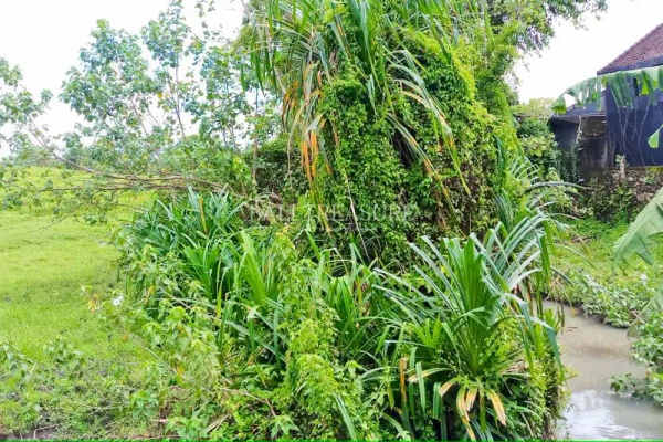 Some image