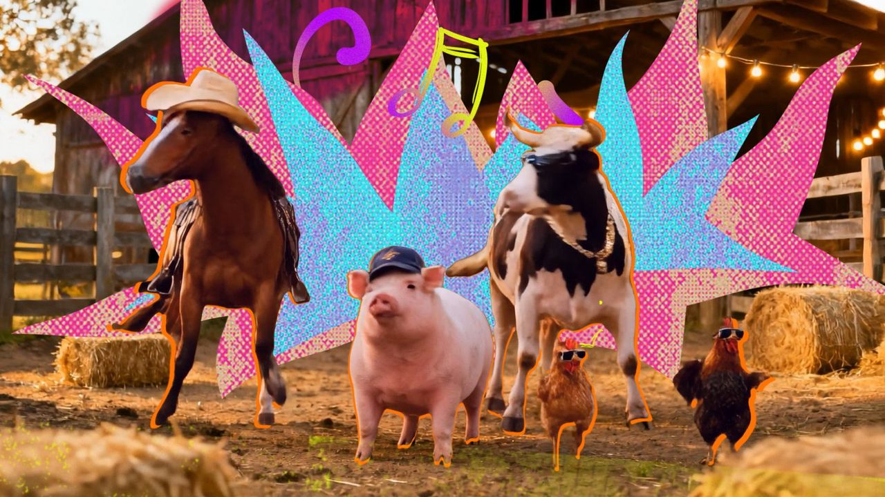 A Fazenda 17 — imagem 7