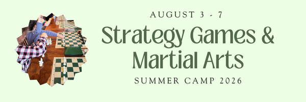Strategy Games and Martial Arts