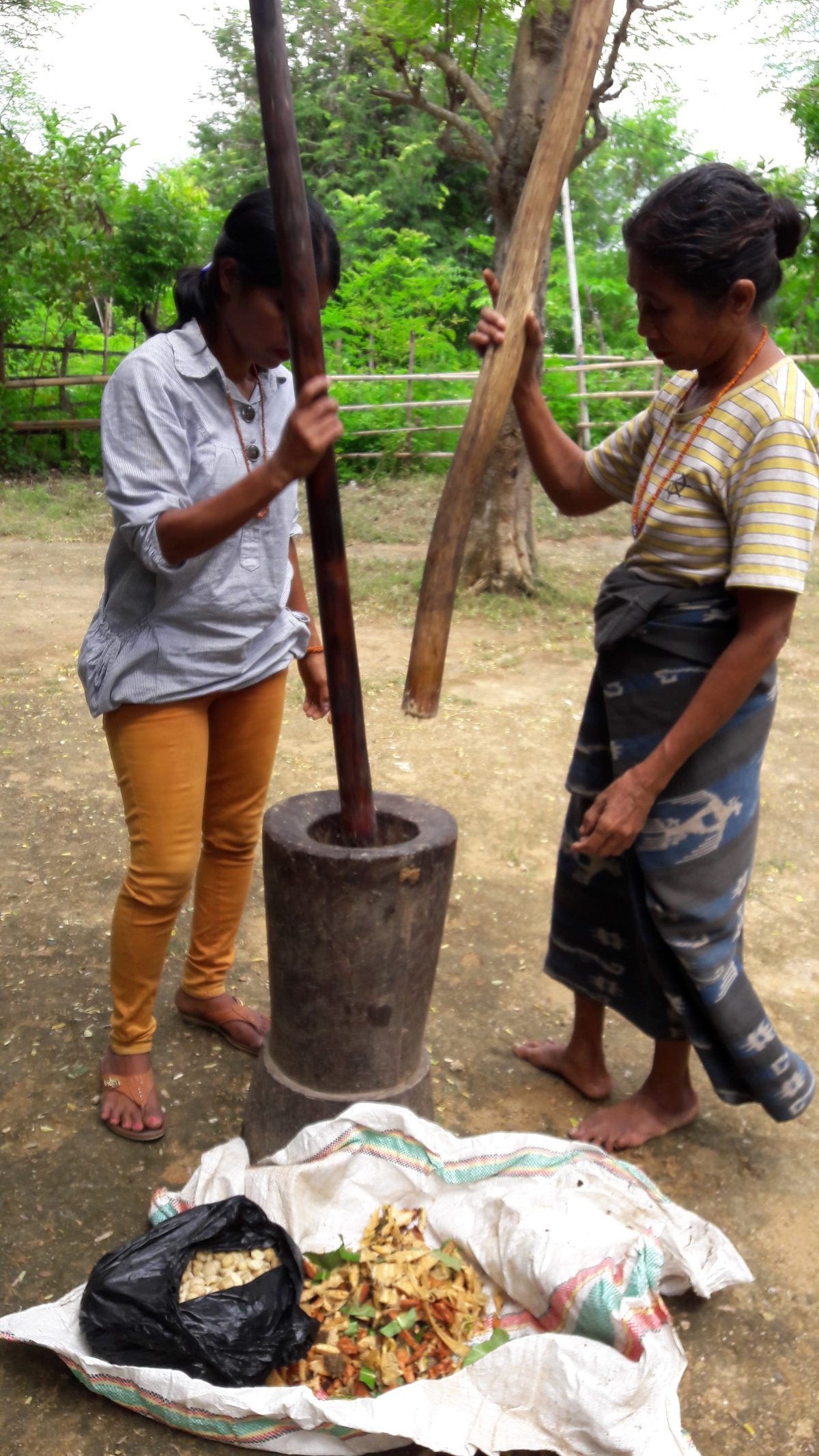 Two women pounding natural dye material with a long wooden pestle