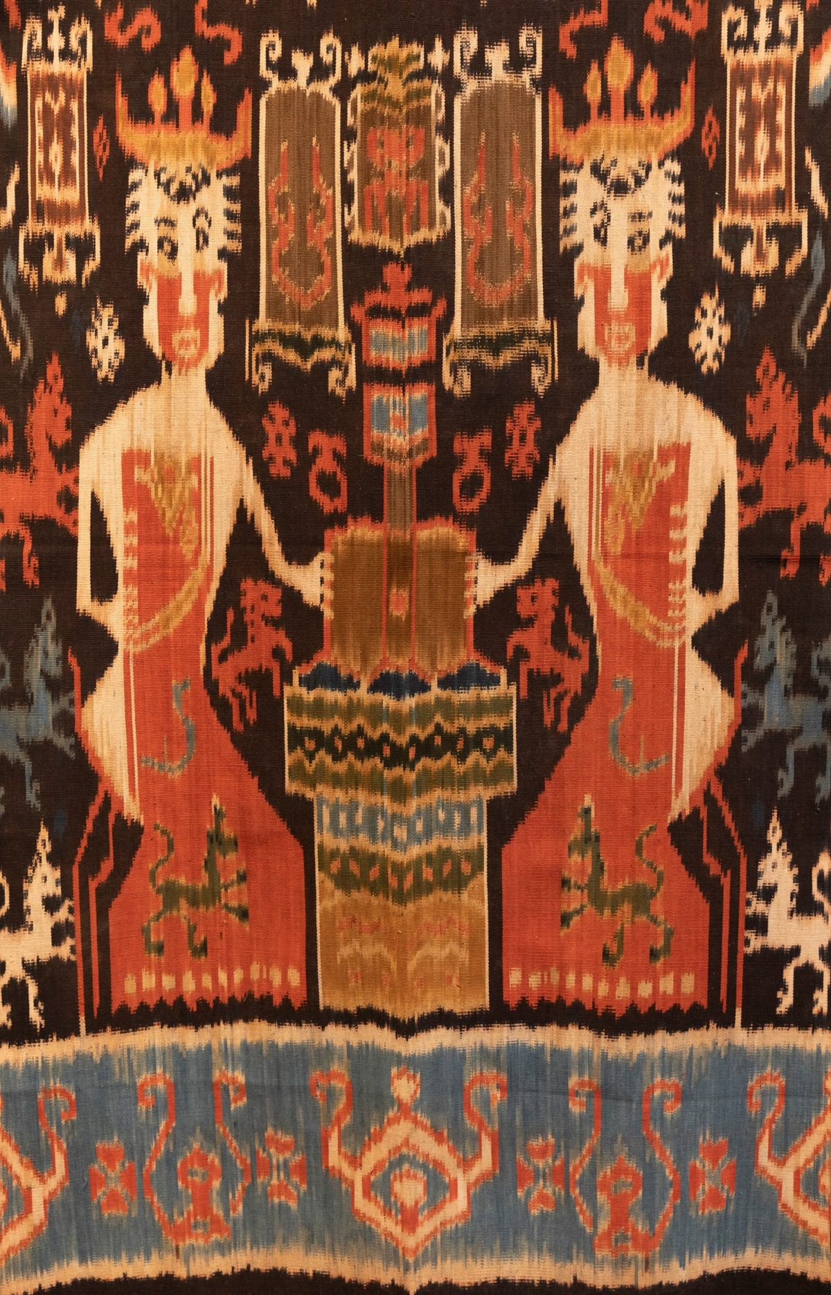 Kombu Welhelmina — photograph 2