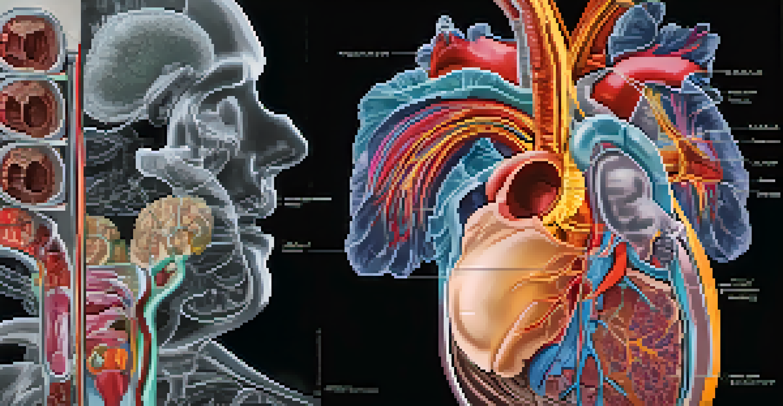 A cross-sectional view of a human torso from a CT scan, highlighting organs like the heart and lungs against a dark background.