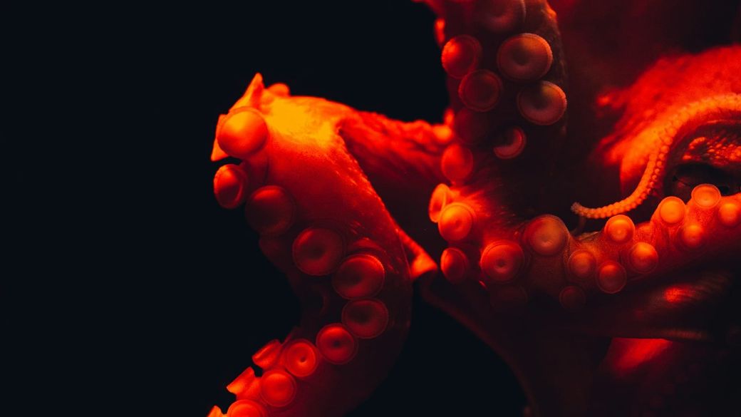 Kraken adds UNITAS token to its trading platform