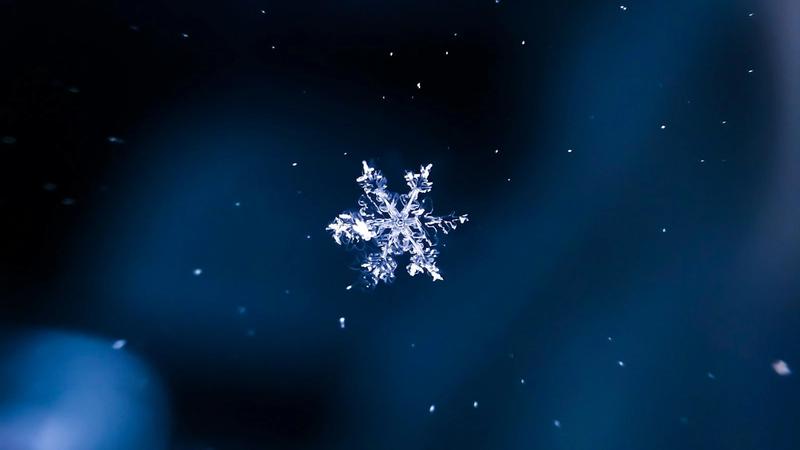 A close-up view of a single snowflake captured against a blue background. The intricate patterns of the snowflake are highlighted in sharp detail, showcasing the unique structure of the ice crystals.