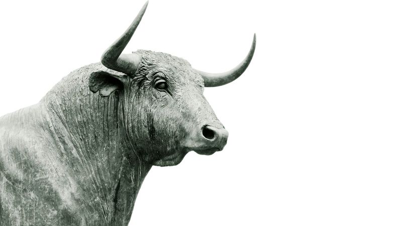The image features a close-up of a bull statue, showcasing detailed textures and features of the animal. The bull is depicted in a monochromatic style, emphasizing its strength and prominence.