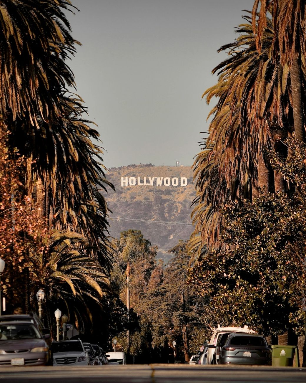 The iconic Hollywood sign is prominently displayed on a hillside, framed by palm trees which create a tropical ambiance. The photo captures a clear view of the sign against a backdrop of warm-toned hills and vegetation. — Credit: Photo by CURTIS HYSTAD / Unsplash