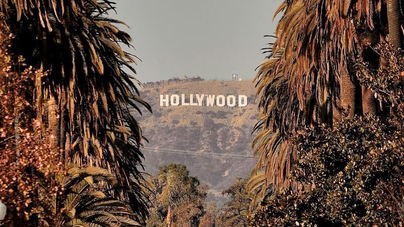 The iconic Hollywood sign is prominently displayed on a hillside, framed by palm trees which create a tropical ambiance. The photo captures a clear view of the sign against a backdrop of warm-toned hills and vegetation.