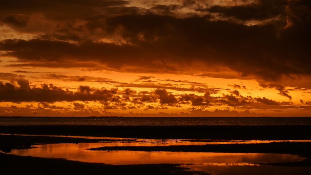 Forecasters warn incoming El Niño could push global temperatures past 2C for the first time