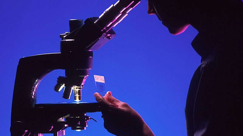 The image features the silhouette of a person looking through a microscope against a vibrant blue and purple background. The focus is on the microscope, highlighting its intricate design and function in scientific exploration.