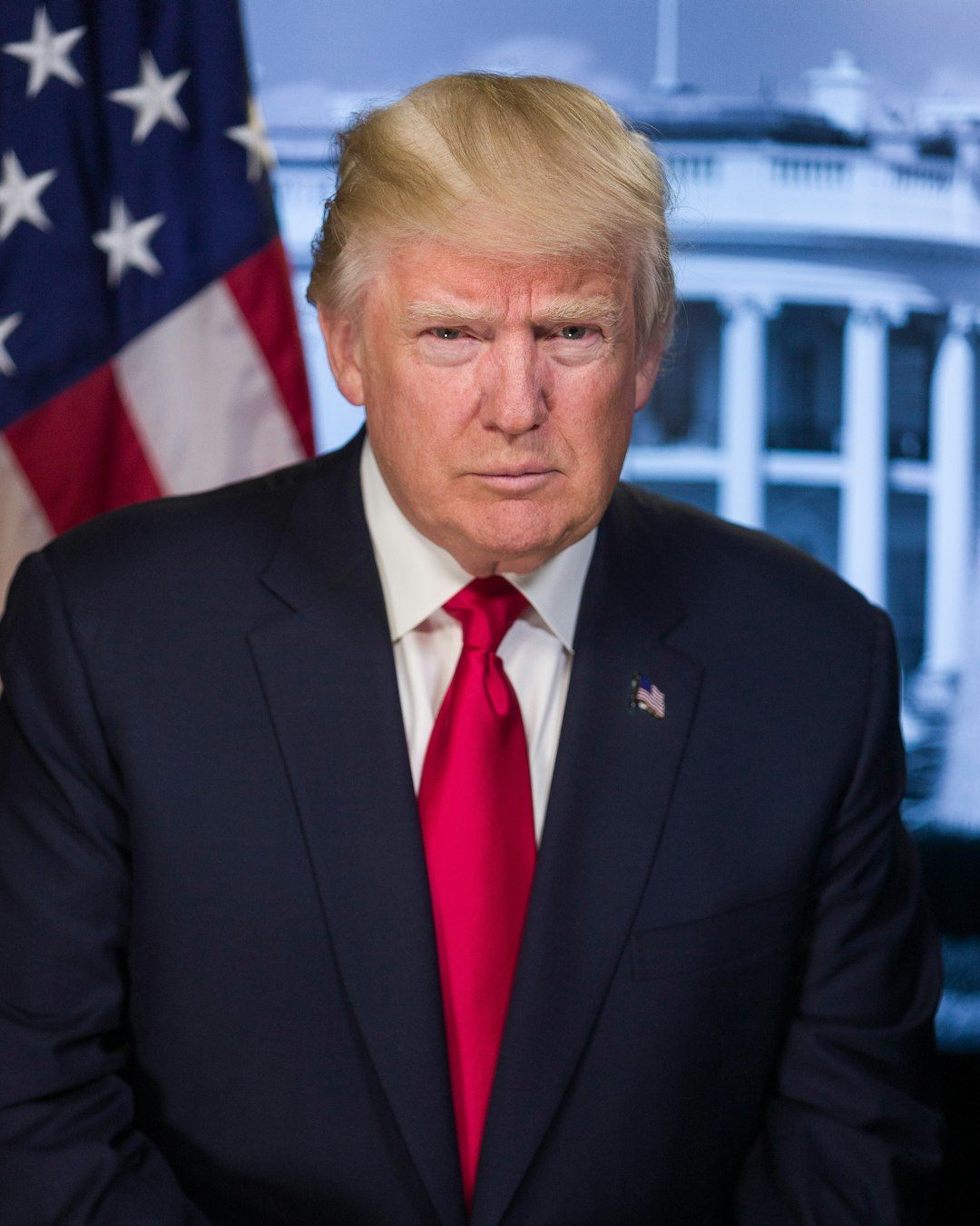 [Portrait of President-elect Donald Trump]. Digital photograph, 2016. Library of Congress Prints & Photographs Division.