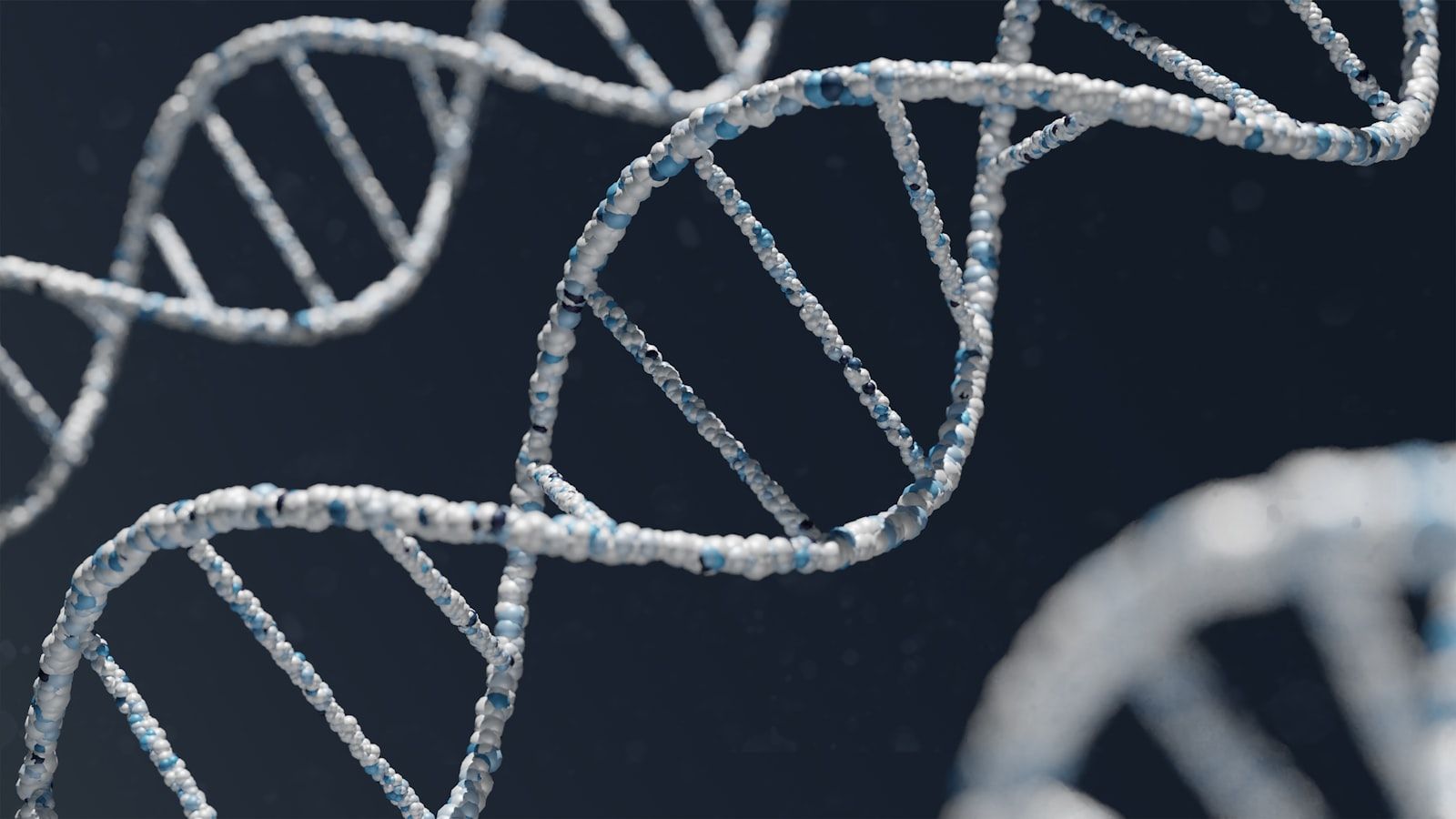 The image features a close-up view of a DNA double helix, showcasing its intricate structure with strands made of various colored particles. The backdrop is dark, highlighting the clarity and detail of the DNA's molecular composition.
