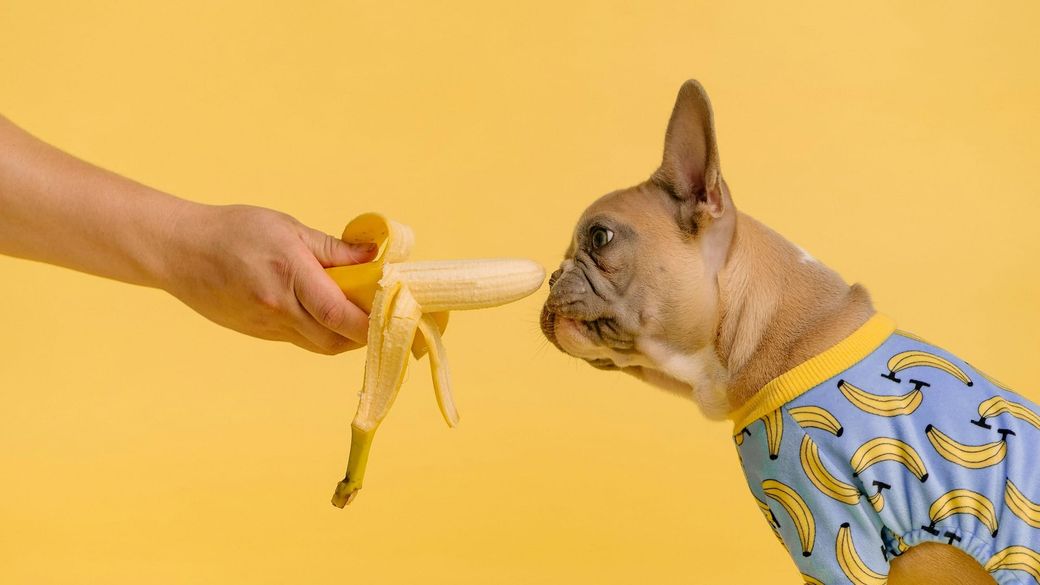 Google Levels Up Nano Banana. Meet Nano Banana Pro.