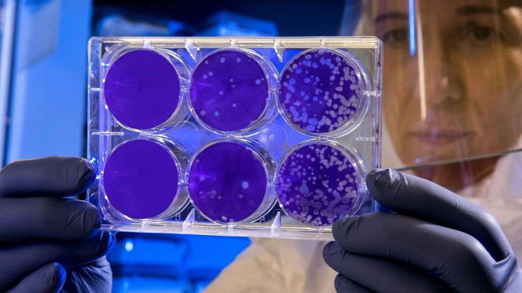 The cell’s postal service: How extracellular vesicles could become the next drug delivery revolution