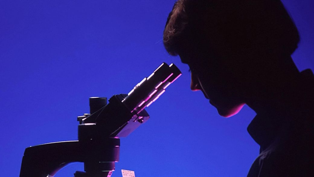 The immune system’s new teachers: Personalised cancer vaccines and the logistics of made-to-order medicine