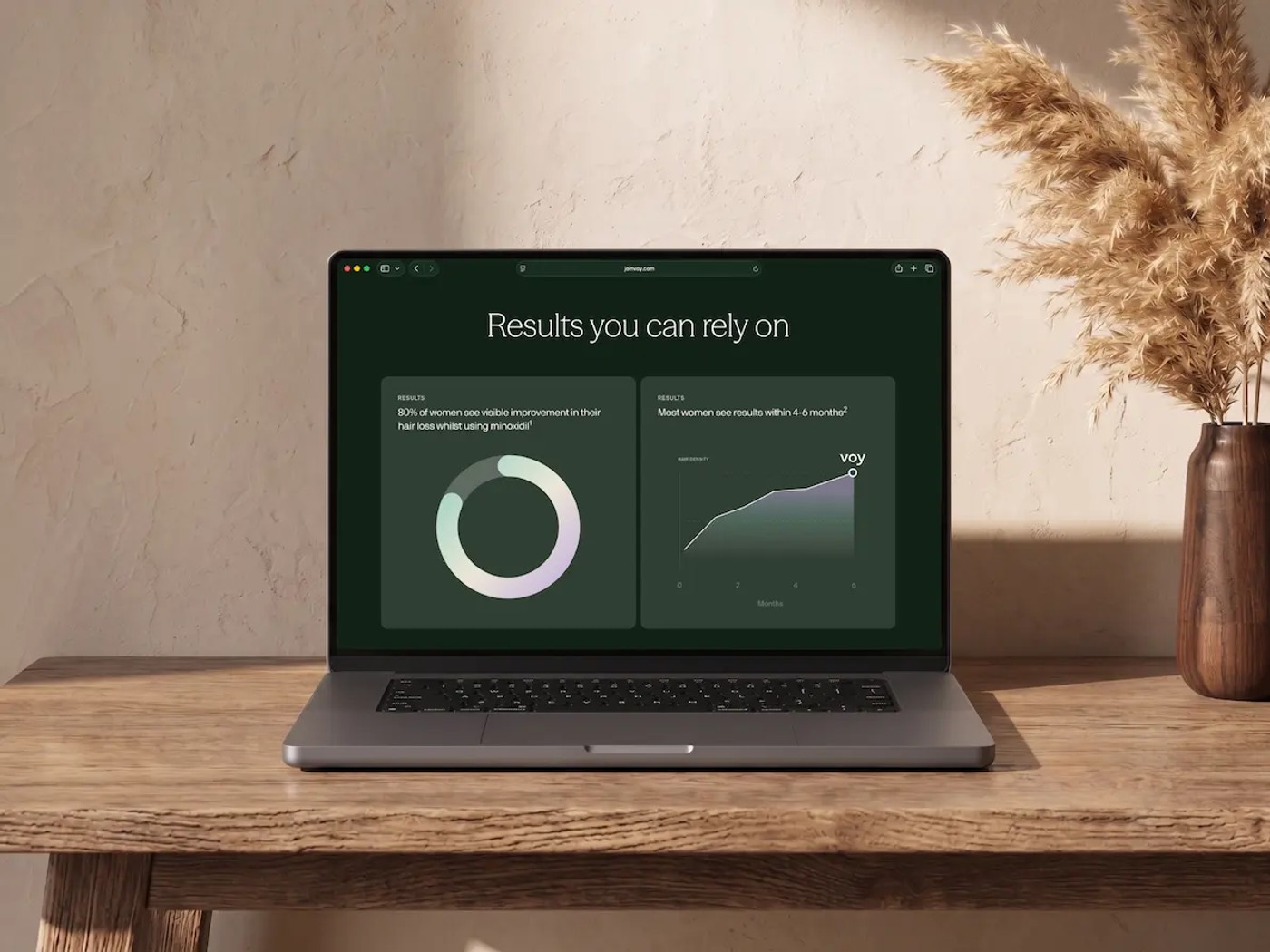 Voy results in a laptop
