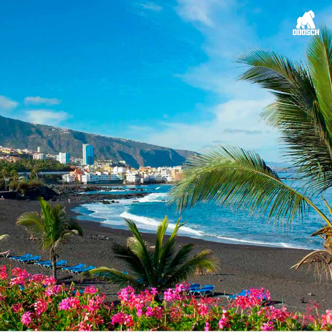 Winner: Becca Keane  - High Roller 5 Nights Tenerife Holiday – Ticket: 80