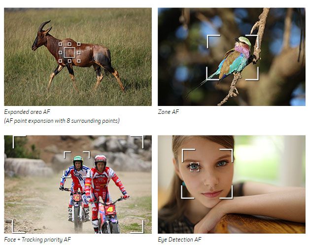 Göz algılama otomatik odaklama ve gerçek zamanlı pozlama önizlemesi dahil olmak üzere aynasız kamera EVF'nin gelişmiş odaklama yeteneklerinin gösterimi