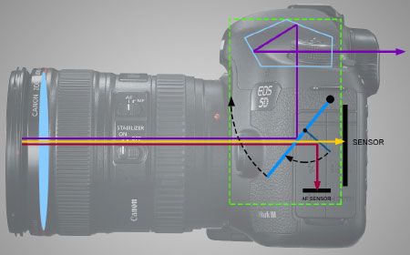 Canon 5D Mark III DSLR fotoğraf makinesinin ışığı fotoğrafçının gözüne ve sensöre yönlendiren renkli ışık yolu illüstrasyonuyla ayna, pentaprizma ve optik vizör mekanizmasını gösteren kesit diyagramı