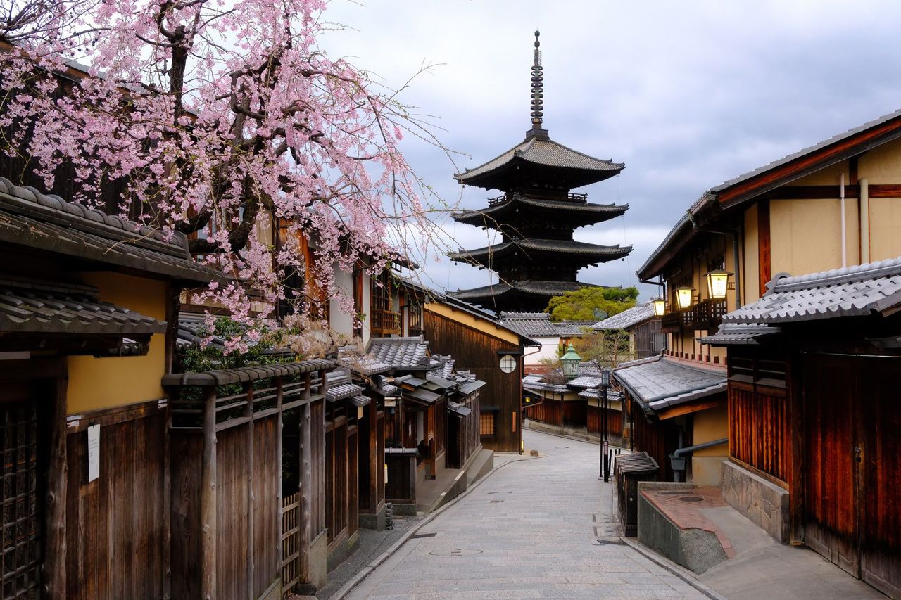 Japan Sakura Photography Itinerary: Tokyo, Kyoto and Mt. Fuji