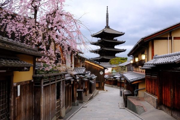 Photographer's Guide to Japan: Tokyo & Kyoto Sakura Itinerary (2026)