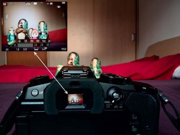 Photographer using electronic viewfinder for stable eye-level shooting