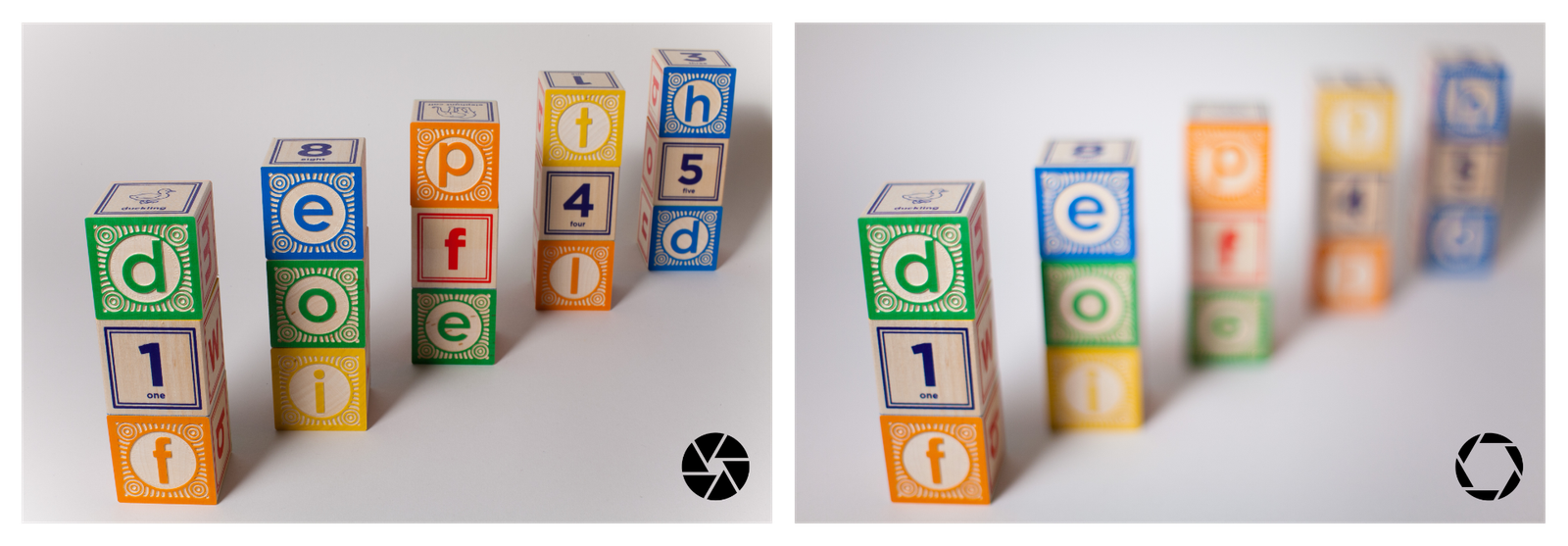 Side-by-side comparison showing shallow depth of field with blurred background versus deep depth of field with everything sharp