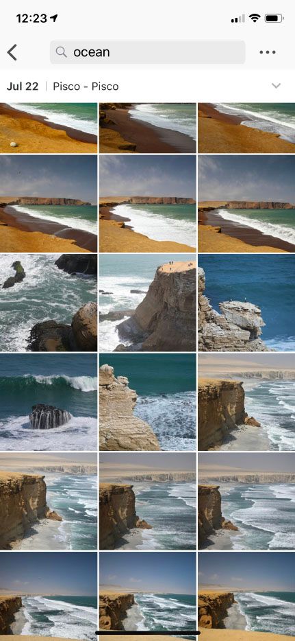 Synology Moments iOS app performing the same smart photo search on mobile device