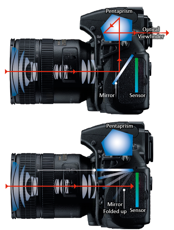 DSLR optik vizörünün (OVF) ayna sistemi, pentaprizma ve fotoğrafçının gözüne giden ışık yolu ile nasıl çalıştığını gösteren teknik diyagram