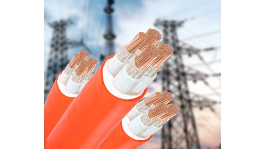 Cáp Chống Cháy – Giải Pháp An Toàn Cho Hệ Thống Điện Trong Mọi Công Trình Hiện Đại