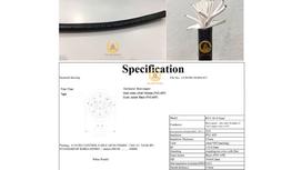 Cáp Điều Khiển Sangjin Không Lưới 10 Core x 1,25 mm² (Sangjin RVV 10x1,25mm²): Sự Lựa Chọn Hoàn Hảo Cho Hệ Thống Điều Khiển Công Nghiệp Hiện Đại