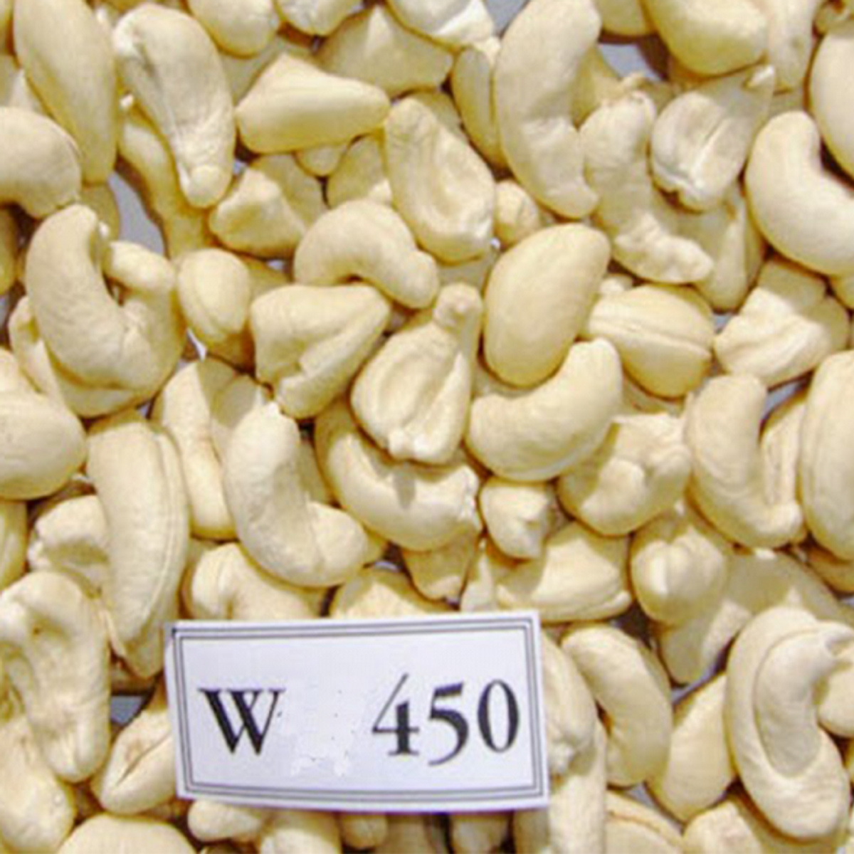 450