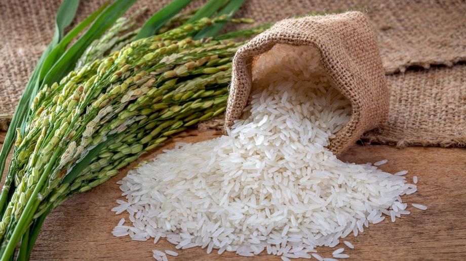 Gạo Trắng Hay Gạo Lứt Tốt Hơn? Sự Thật Dinh Dưỡng Bạn Cần Biết Trước Khi Lựa Chọn