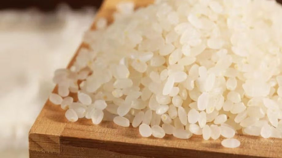 Gạo Japonica là gì? Lưu ý quan trọng khi chế biến món ăn