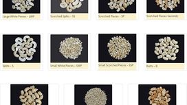 A Guide to Different Types of Cashew Nuts