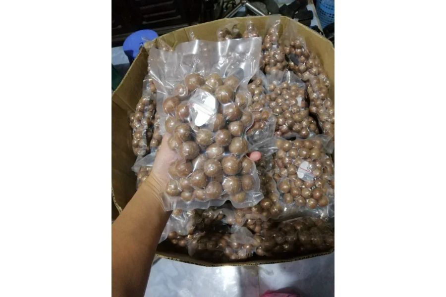 Hạt Macca (Mắc Ca) Sấy? Giá Trị Dinh Dưỡng Đối Với Sức Khỏe Là Gì?