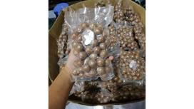 Hạt Macca (Mắc Ca) Sấy? Giá Trị Dinh Dưỡng Đối Với Sức Khỏe Là Gì?