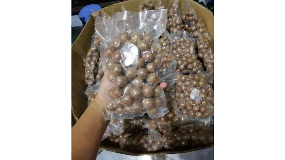 Hạt Macca (Mắc Ca) Sấy? Giá Trị Dinh Dưỡng Đối Với Sức Khỏe Là Gì?