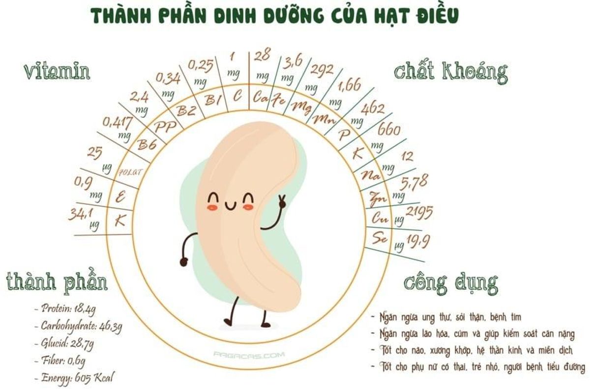 hạt điều