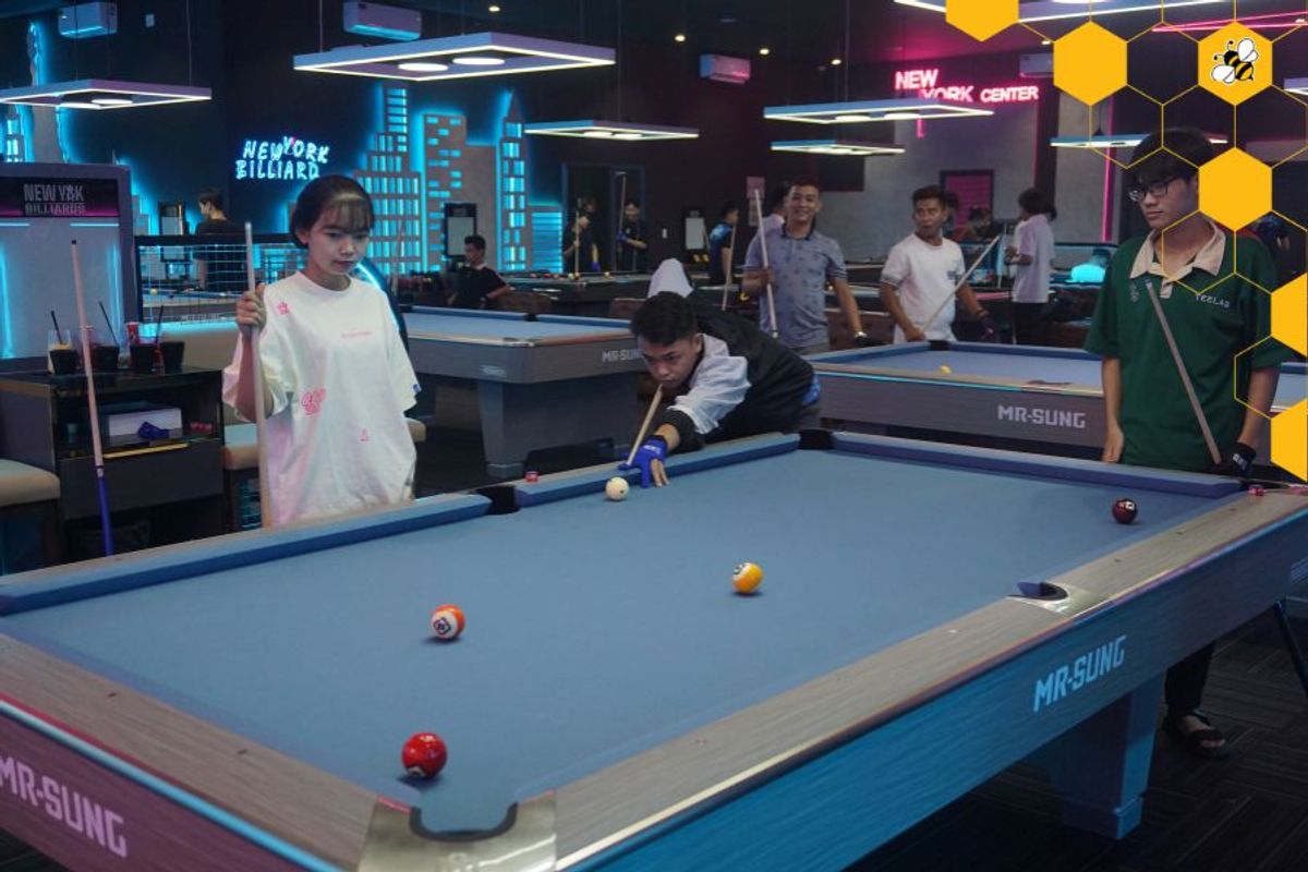 Bida lỗ (Pool Billiards)