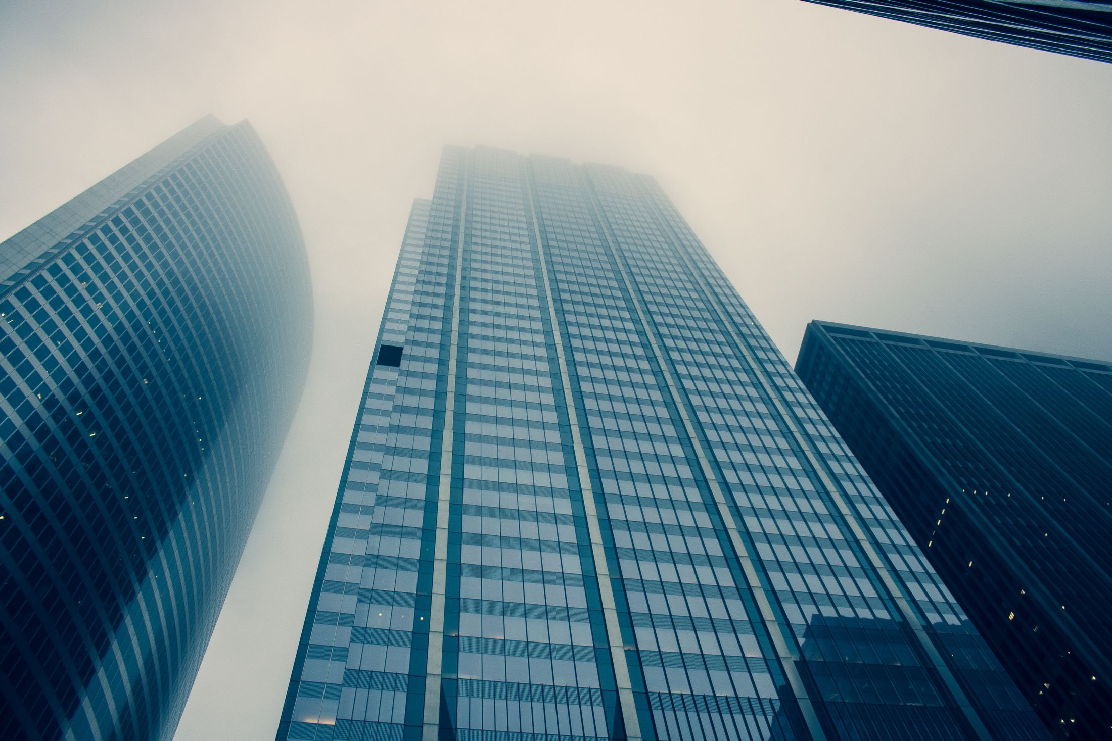 Captivating view of modern skyscrapers reaching into foggy skies, symbolizing urban growth.